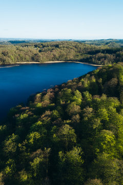 Lake in the forest from above
