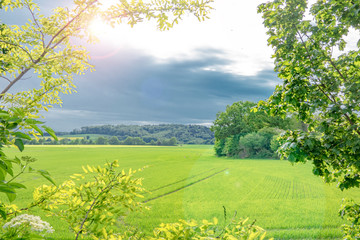 Landschaft am Krahnenberg, Andernach, Rheinland-Pfalz