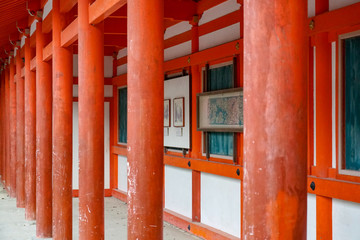 Fototapeta na wymiar 京都　下鴨神社