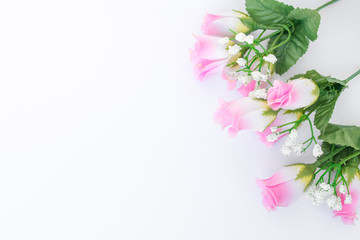 Rosas fondo