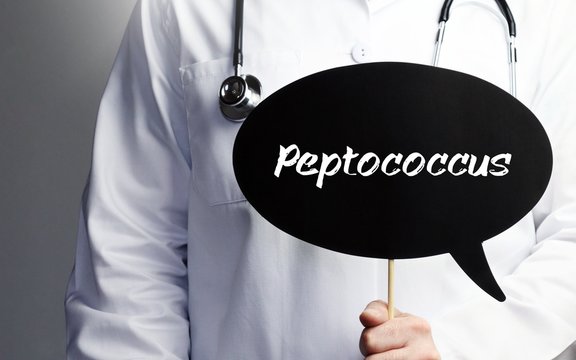 Peptococcus. Doctor in smock holds up speech bubble. The term Peptococcus is in the sign. Symbol of illness, health, medicine