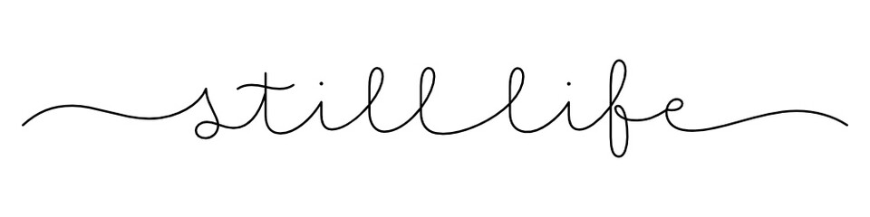 STILL LIFE black vector monoline calligraphy banner with swashes