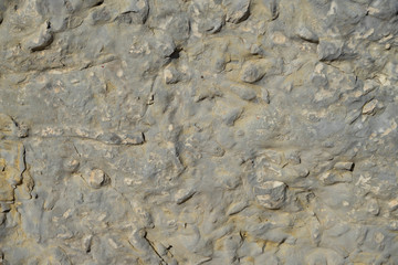 texture of stone wall with cement