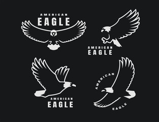 Set of logos. American eagle in flight on a dark background. Vector illustration.