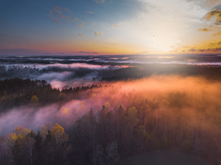 Fog and mist covering the forest in Lithuania