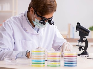 Young chemist working in the lab