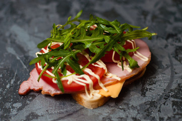 Delicious sandwich with ham and sturgeon, arugula, cheese, tomato and mayonnaise on a gray background side view