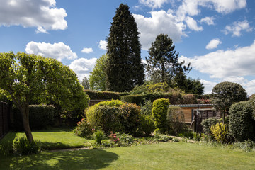 Fototapeta na wymiar A typical English back garden in springtime