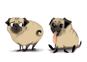 Pugs in love. Flirting. Digital illustration, cartoon. Character designe © Valentyna