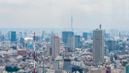 Aerial view over the big city of Tokyo - TOKYO / JAPAN - JUNE 17, 2018