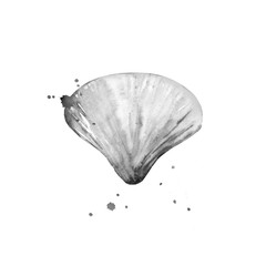 Sea shell with watercolour blots. Marine creature. Monochrome illustration isolated on white background.