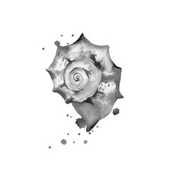 Monochrome seashell. Design for sea style invitation, tote bag, pillow, textile, card, postcard. Watercolour illustration isolated on white background.