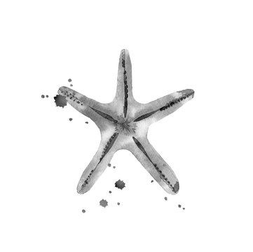 Watercolour starfish. Sea creature. Design for sea style invitation, tote bag, pillow, textile, card, postcard. Watercolour illustration isolated on white background.