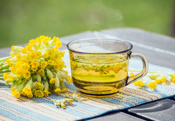 Cup of Primula veris tea (cowslip, common cowslip, cowslip primrose; syn. Primula officinalis Hill with fresh blossoms outdoors, green background. Alternative medicine concept.