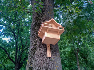 Beautiful birdhouse on tree. Birdhouse in the park.