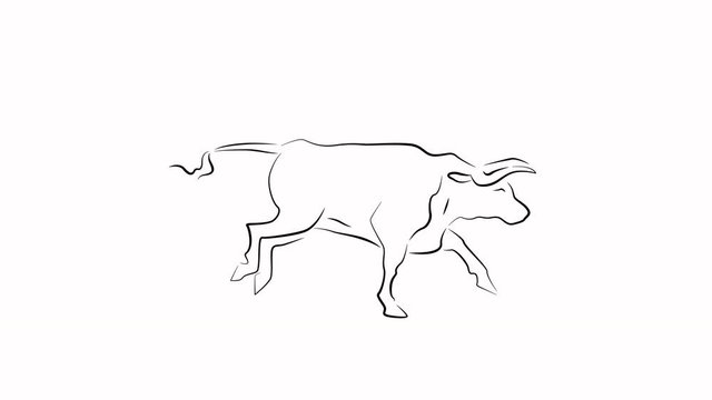 The Ox. Cartoon character. Cute hand drawn footage with bull. Running animal in outline style. Doodle nature concept. Symbol of 2021 year. Monochrome clip-art. Animation with alpha channel.