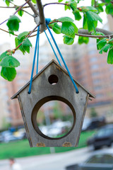 birdhouse, tree, nature, green