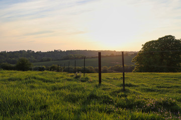 A fence across a grass field with a setting sun in the background 
