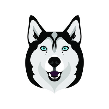 The head of a husky dog with an open mouth. portrait Vector illustration on a white background.