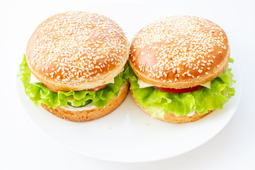 Two sandwiches with sesame rolls on a white plate. Home made burger