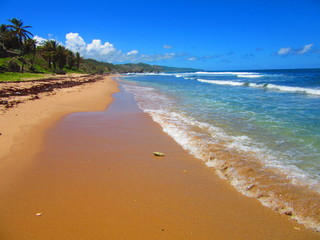 Soup bowl auf Barbados ist schön