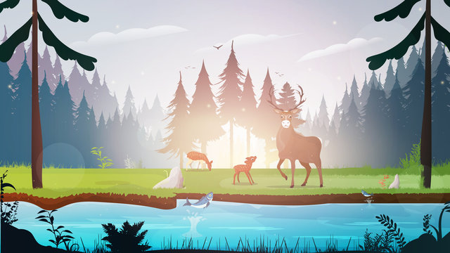 Morning in the forest. Forest with a river. Deer family in the meadow. Deer with big horns. Vector.