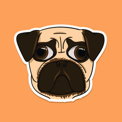 Pug dog head. Cartoon style sticker. Funny puppy face with big surprised eyes. Isolated vector illustration
