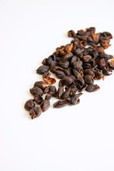 Coffee cherry  on the white background