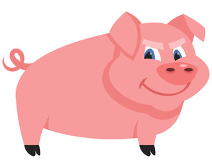 Standing male pig. Farm animal in cartoon style.