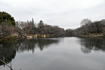 Fototapeta na wymiar The view of Inokashira park