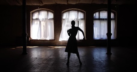 Silhouette Of Beautiful Slender Girl 
Gracefully  Dancing In A Spacious Hall