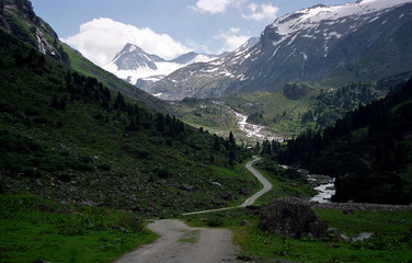 Obraz premium landscape in the mountains mountain trees in the mountains mountain landscape in the mountains