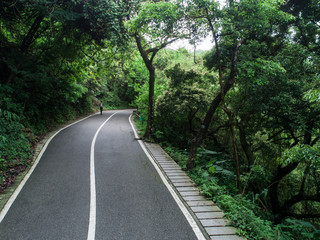 Aerial drone view of trail in spring tropical forest