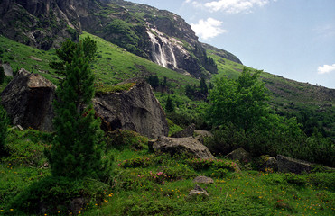 Obraz premium landscape in the mountains mountain trees in the mountains mountain landscape in the mountains