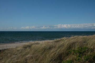 Fototapeta na wymiar seaside with dunes and beach grass
