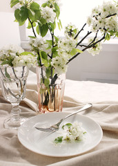 
table setting. vase with branches of a blossoming pear on a serving table in the sunlight. morning breakfast.
