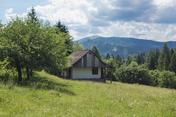 Fototapeta na wymiar Remote wooden house in green summer Carpathian mountains
