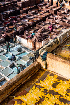 Leather Chouara Tannery in Fez Morocco