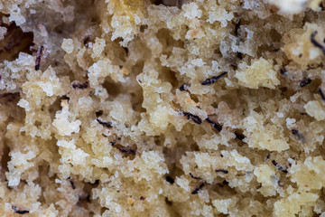 Macro view of banana bread texture with high level of detail
