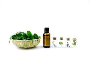Bottles and wicker bowl with fresh herbs on wooden background.