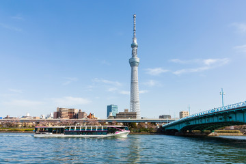 Naklejka premium 隅田川と東京スカイツリー