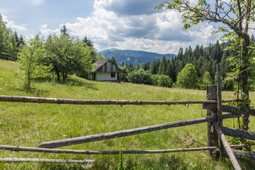 Fototapeta premium Remote wooden house in green summer Carpathian mountains