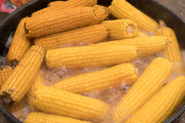 Boiled Corncob sweet corn in sunshine in a close up shot. Corn on the cob outside. Water boil corn