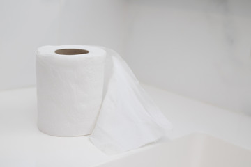 A white roll of soft toilet paper neatly hanging on a modern chrome holder on a bathroom