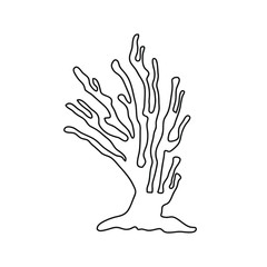  Vector sea coral isolated on white background. Outline vector illustration in doodle style.