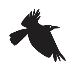 Black crow in flight isolated on white background for design, silhouette stock vector illustration with bird in flight