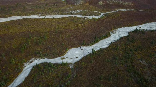 Glacier fed streams crossing lush and vibrant fall colored tundra near Denali National Park, Aerial reveal