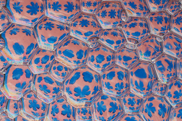 An artful colorful background with bubbles. Abstract background.