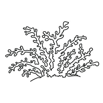  Vector sea coral isolated on white background. Outline vector illustration in doodle style.