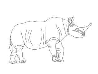 Vector coloring book for children and adults with a rhino. An endangered animal that is killed for the horn. The study of animals, line art, realistic rhino.Coloring page series Animals of Africa.
